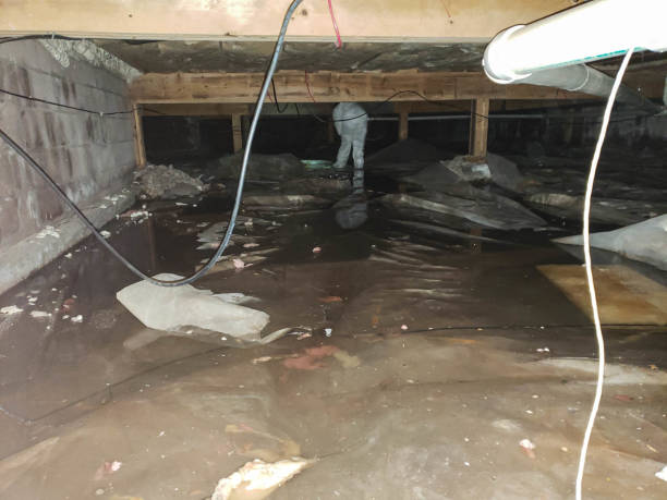 Trusted Wellington, UT Water damage restoration Experts